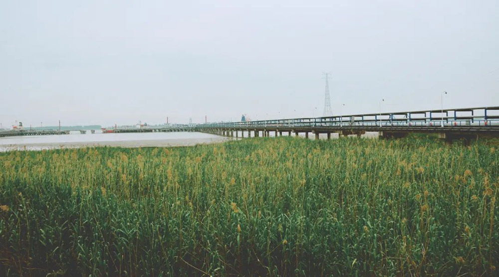 尊龙凯时旗舰厅