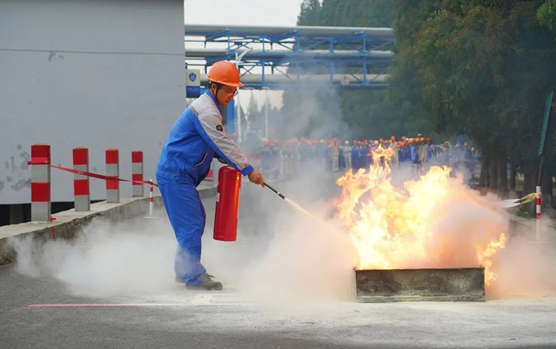 1700010736477935.jpg 7.jpg