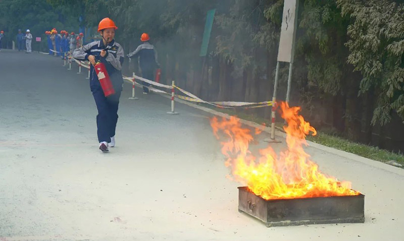 1700010774671598.jpg 9.jpg